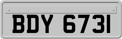 BDY6731