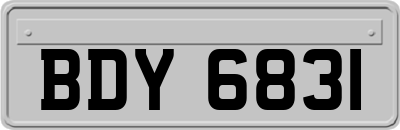 BDY6831