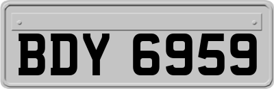 BDY6959