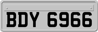 BDY6966