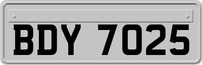 BDY7025