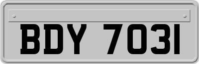 BDY7031