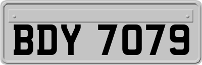 BDY7079