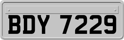 BDY7229