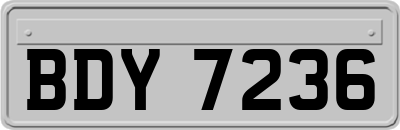 BDY7236
