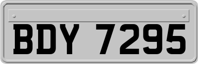 BDY7295