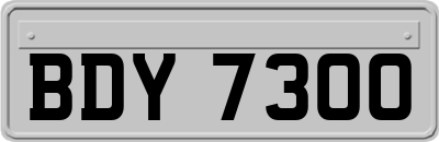BDY7300