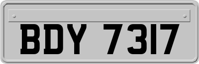 BDY7317