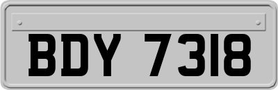 BDY7318