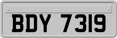 BDY7319