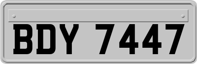 BDY7447