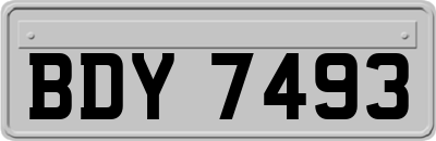 BDY7493