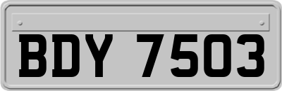 BDY7503