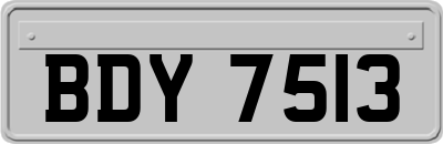 BDY7513