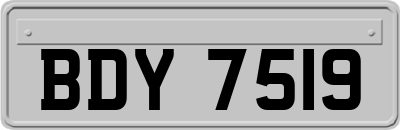 BDY7519