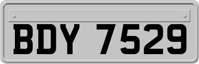 BDY7529