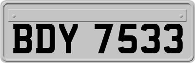 BDY7533