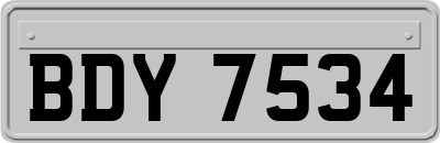 BDY7534