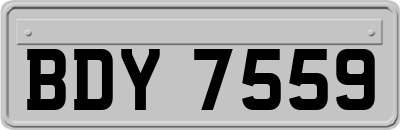 BDY7559