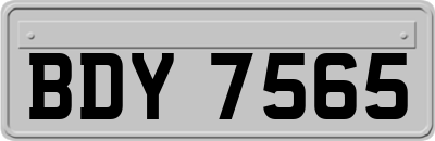 BDY7565