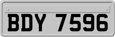 BDY7596