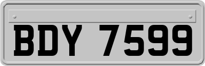 BDY7599