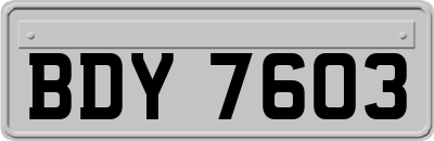 BDY7603