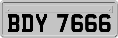 BDY7666