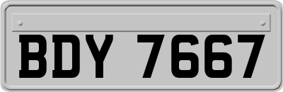 BDY7667