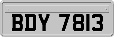 BDY7813