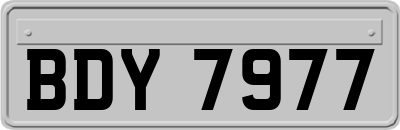 BDY7977