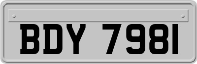 BDY7981