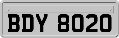 BDY8020