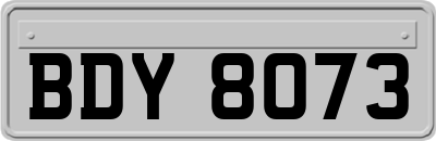BDY8073