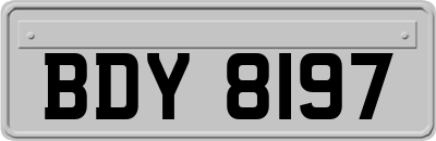 BDY8197