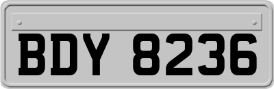 BDY8236