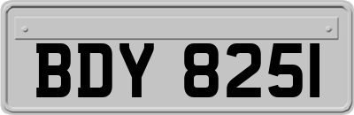 BDY8251