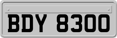 BDY8300
