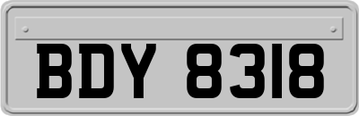 BDY8318