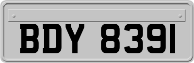 BDY8391