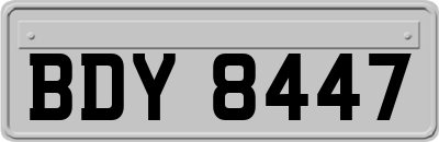 BDY8447