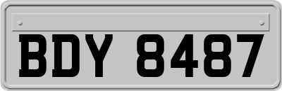 BDY8487
