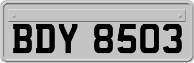 BDY8503