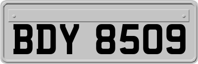 BDY8509
