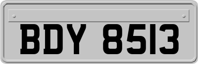 BDY8513