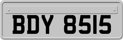 BDY8515