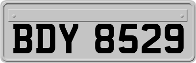 BDY8529