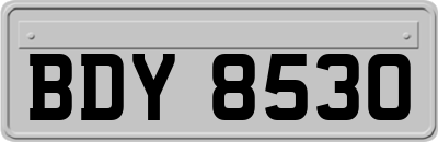 BDY8530