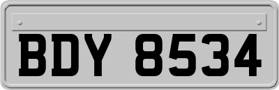 BDY8534