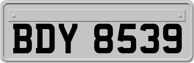 BDY8539